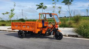 xe ba bánh máy 250cc mẫu cực đẹp có mái che